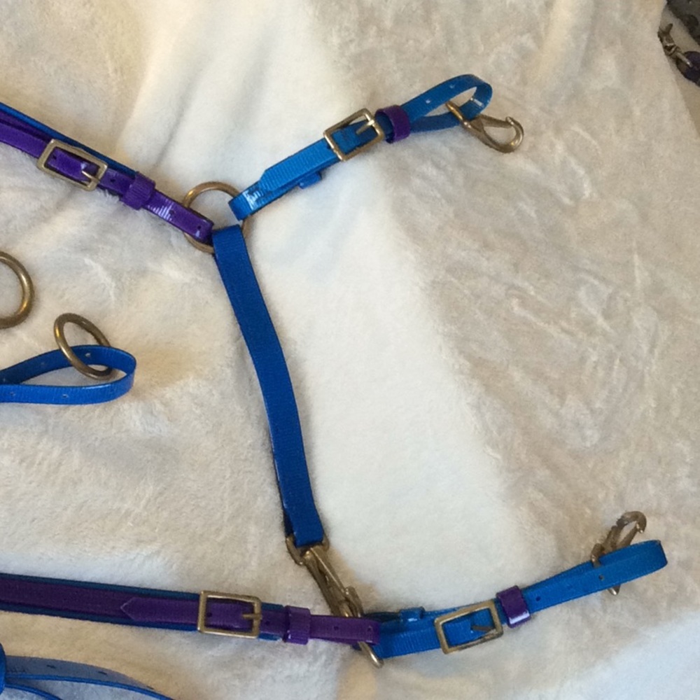 Biothane Horse Breastplate - Picture 5 of 9